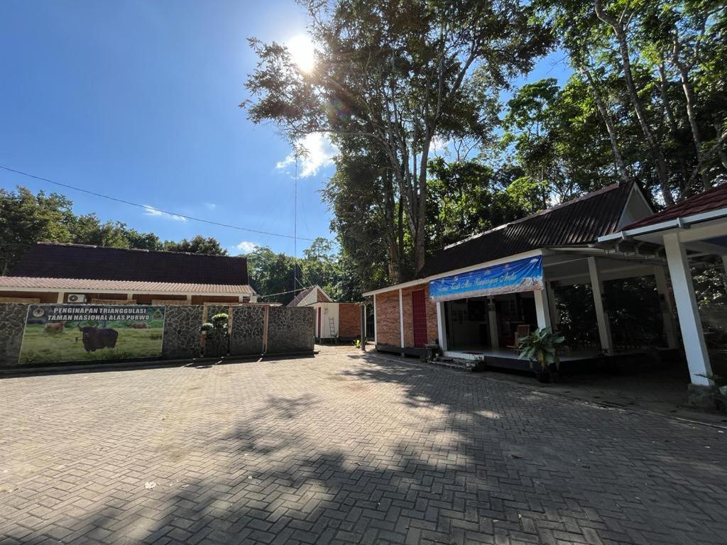 Capital O 92612 Penginapan D'Alas Purwo & Beachnearpadang Savana Sadengan บันยูวังงี ภายนอก รูปภาพ