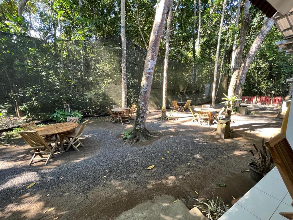 Capital O 92612 Penginapan D'Alas Purwo & Beachnearpadang Savana Sadengan บันยูวังงี ภายนอก รูปภาพ